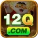 12q VIP v2.7.7